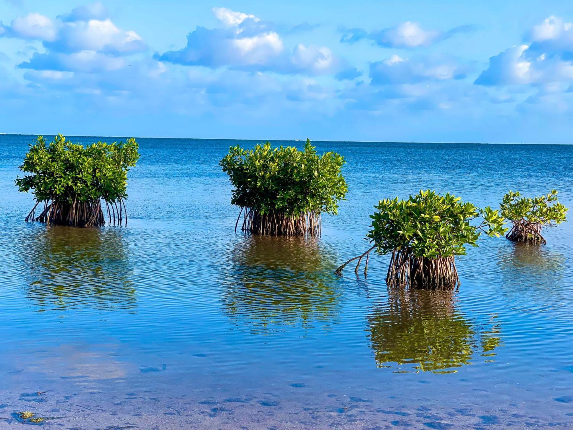 Akuazul Resorts Adults Only Cancún Zewnętrze zdjęcie